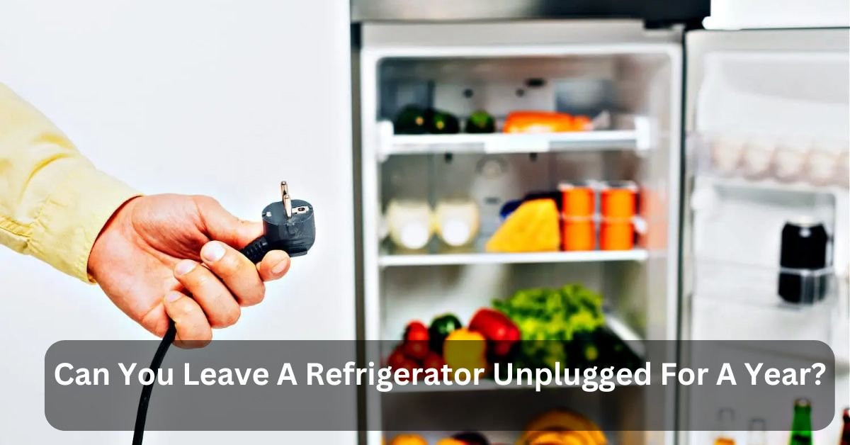 Can You Leave A Refrigerator Unplugged For A Year