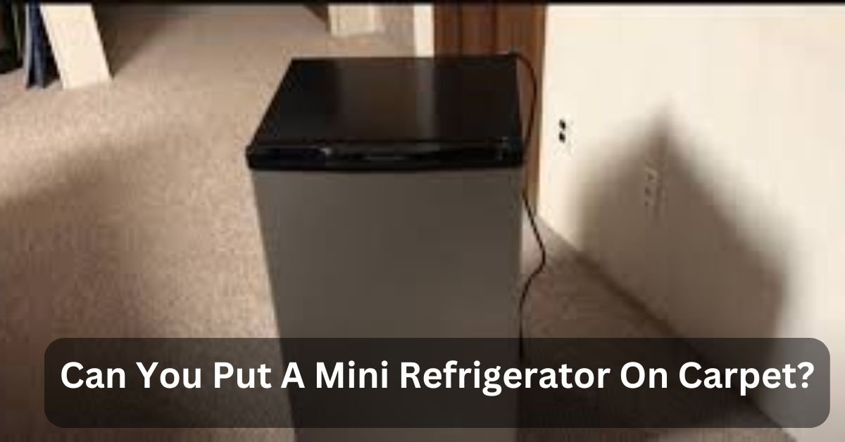 Can You Put A Mini Refrigerator On Carpet